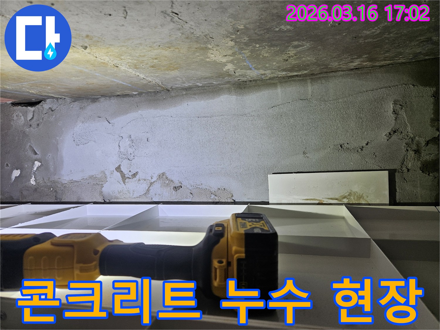 누수 엔지니어가-콘크리트 벽과 천장의-누수 현장을-정밀하게 진단하는 모습