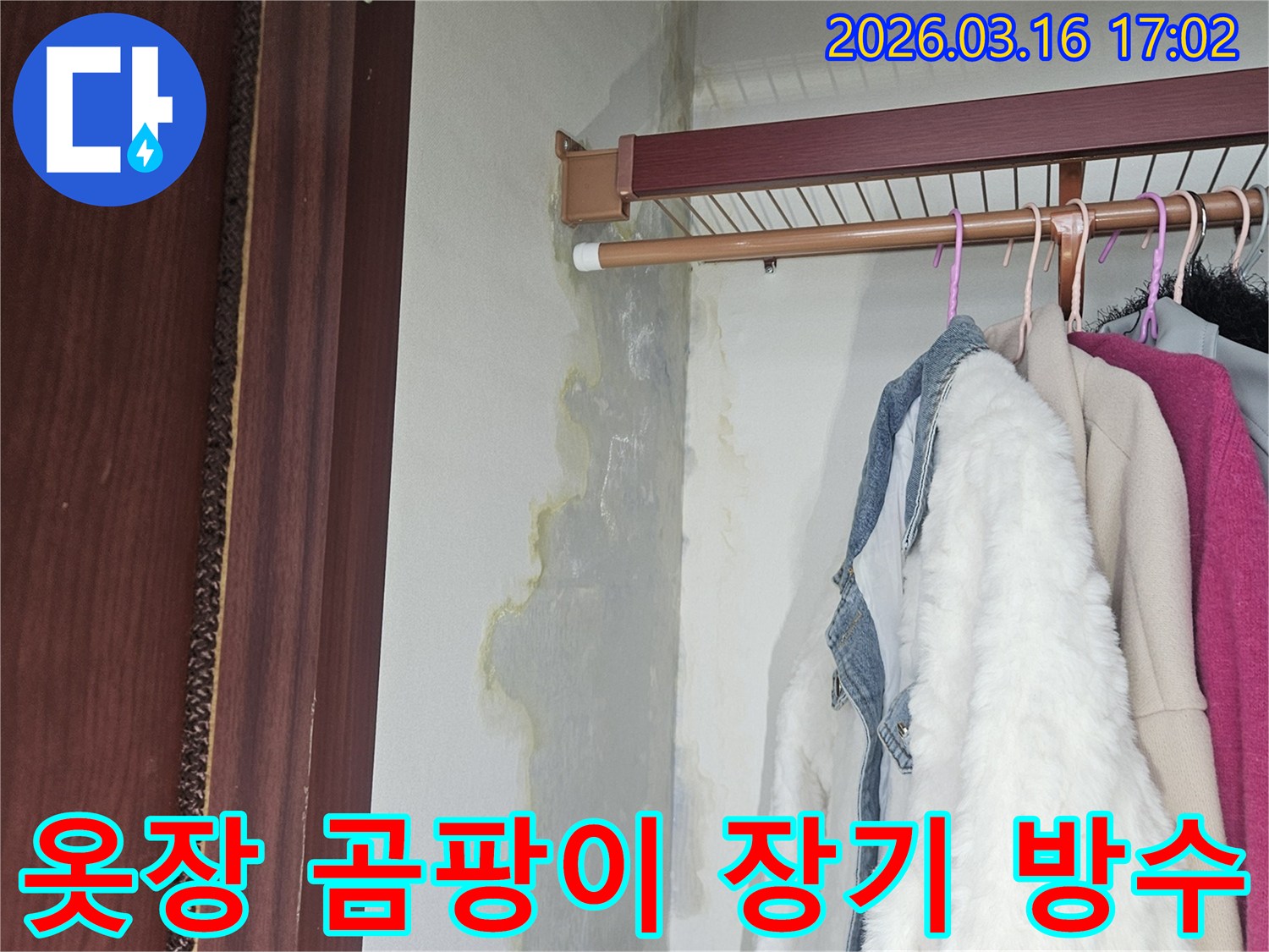 누수로 인해 옷장 벽면과 바닥에 물기가 스며들고-누렇게 변색된 곰팡이가 넓게 퍼져 있는 모습