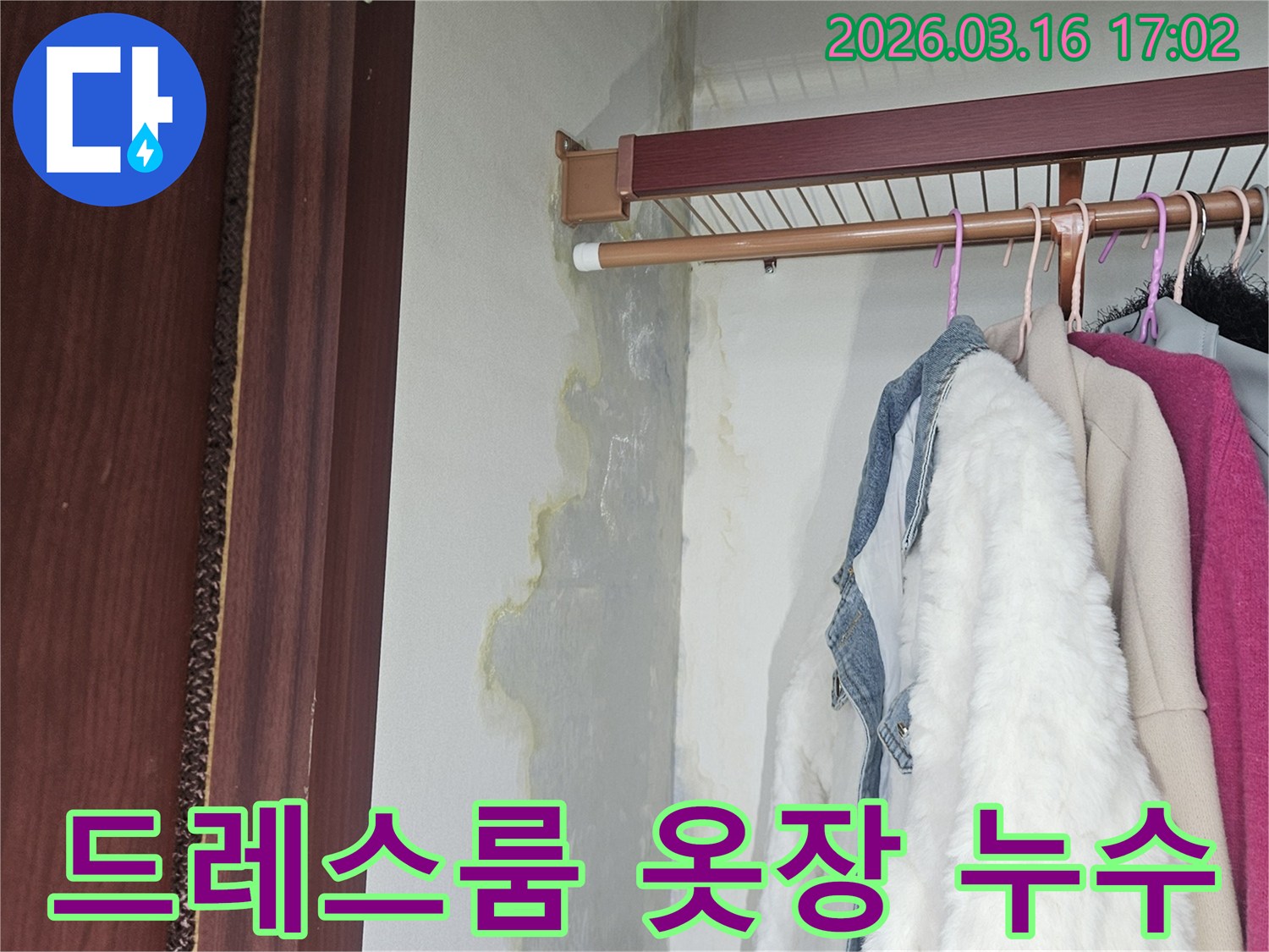 드레스룸 옷장 내부-벽면과 바닥에-누수로 인한-심한 물자국과-곰팡이가 피어있는 모습
