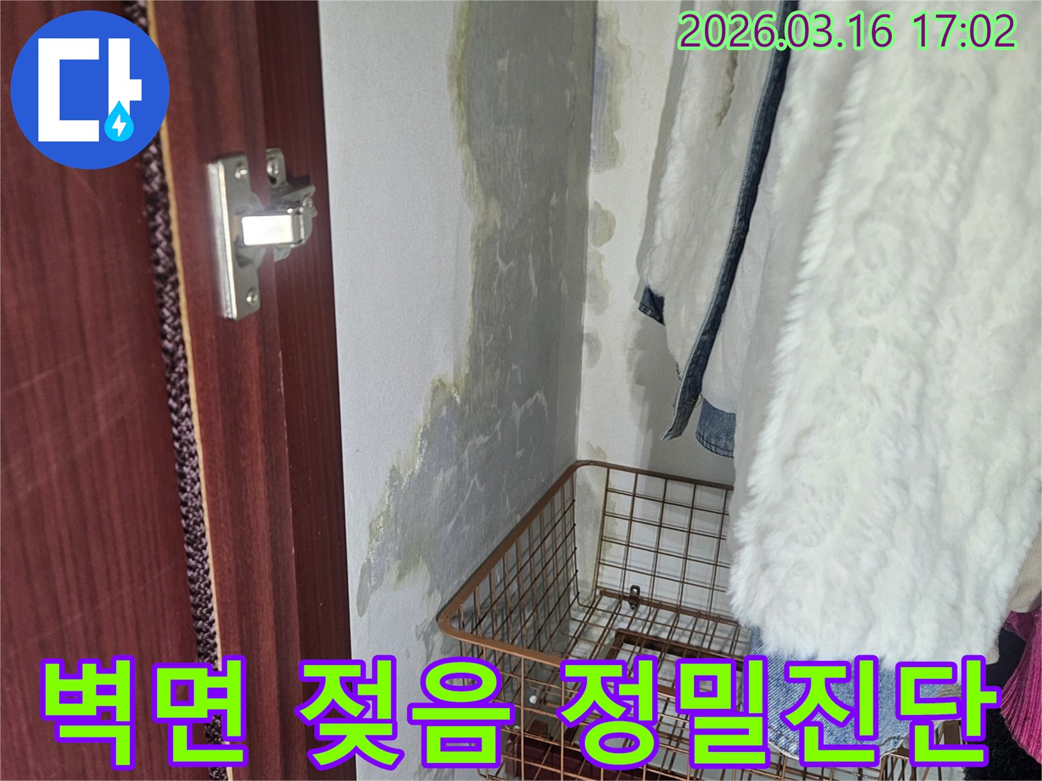 벽면 하단에- 물이 스며들어- 젖은 흔적과- 곰팡이가 발생한- 누수 현장