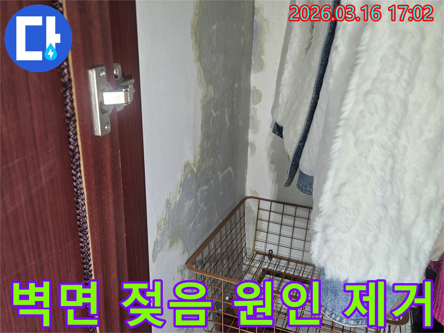 벽면 하단에- 물이 스며들어- 젖은 흔적과- 곰팡이가 발생한- 누수 현장
