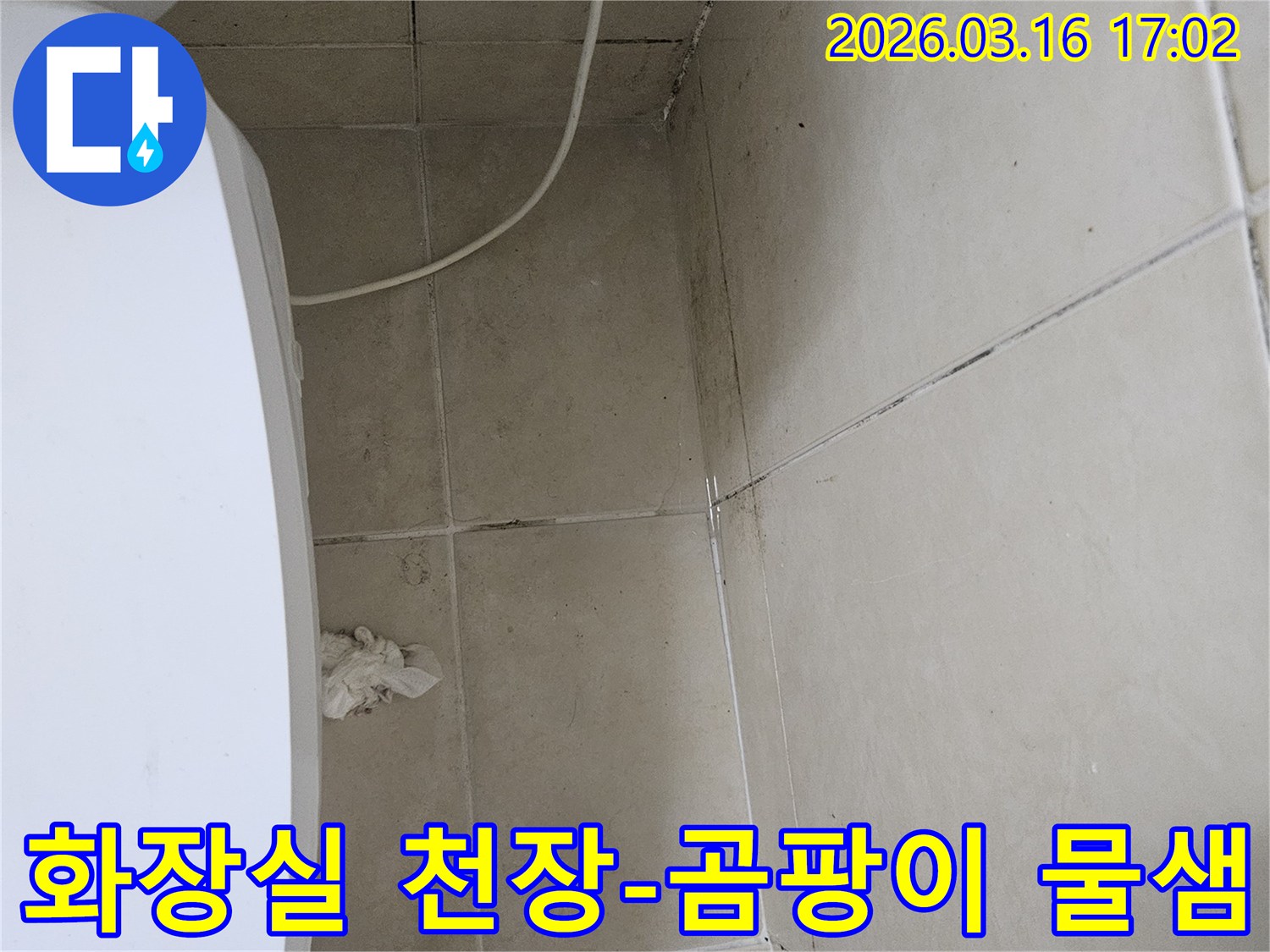 빌라 화장실 천장과 벽면 타일에 검은 곰팡이가 심하게 번져있으며-천장 일부가 손상되어 내부 누수가 의심되는 현장입니다
