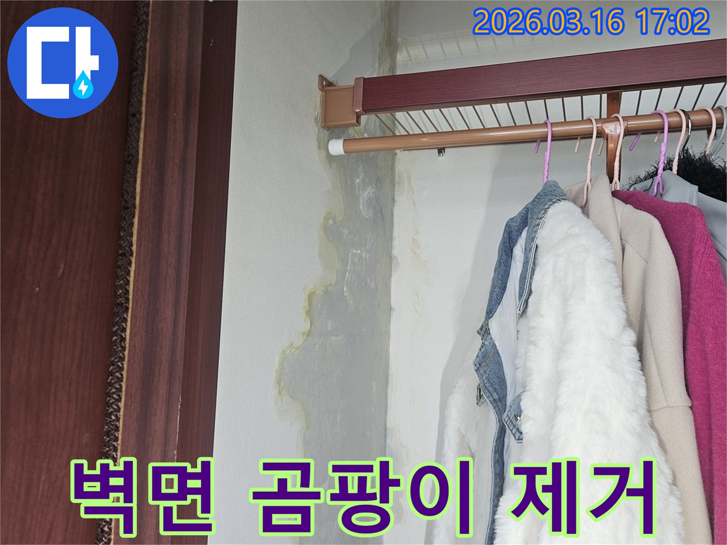 옷장 내부 벽면과 바닥에 넓게 퍼진 누수 흔적과 곰팡이-공사 전 상태를 보여줍니다