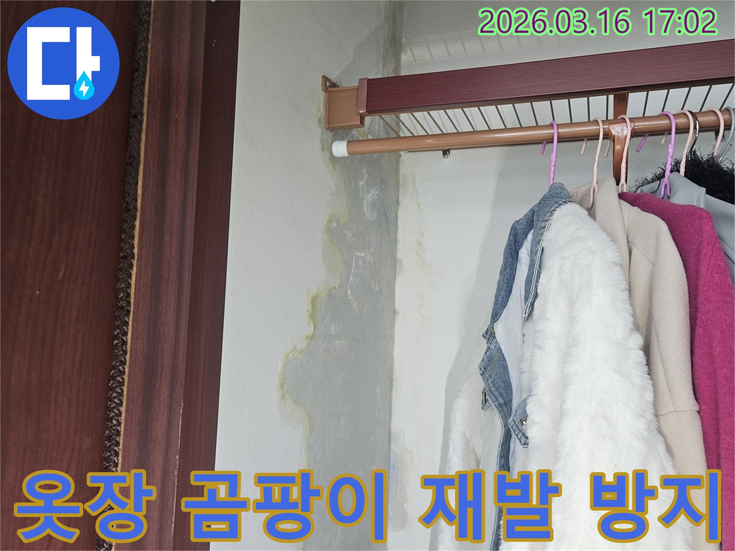 옷장 내부 벽면과 바닥에 누수로 인해 물이 스며들고-누런 얼룩과 곰팡이가 발생한 모습