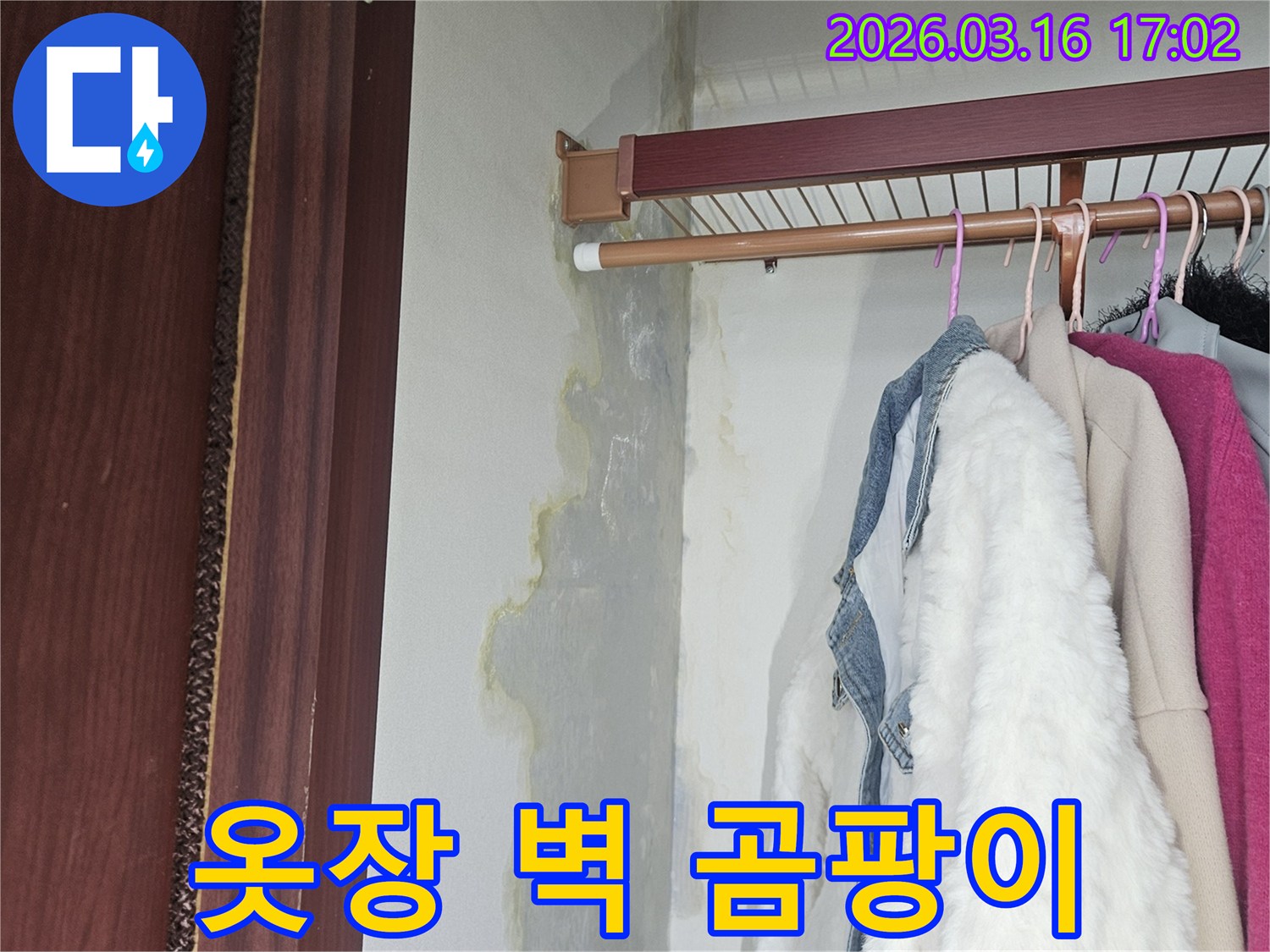 옷장 안쪽 벽면과-바닥에-누수로 인한-심한 물자국과-곰팡이가 나타나-긴급한 조치가 필요합니다