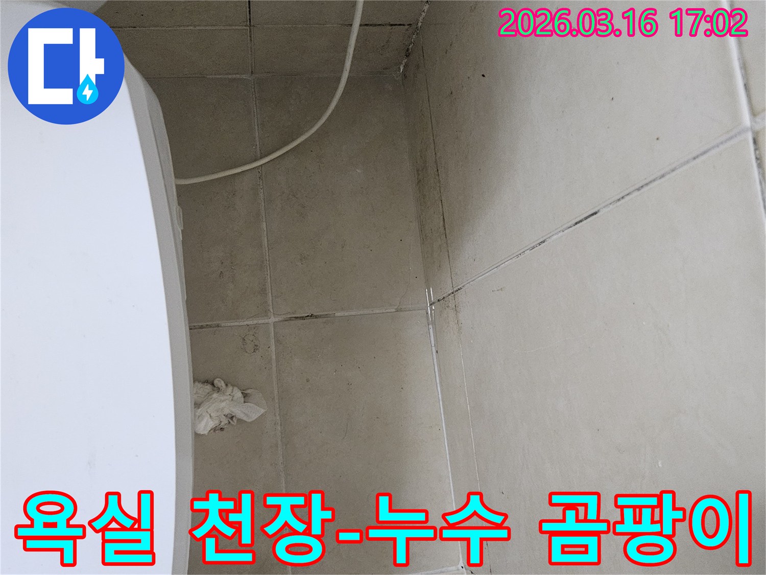 욕실 천장과 벽면 타일 이음새에 검게 번진 곰팡이와 물자국이 선명하게 보이는 모습입니다-이는 장기간 지속된 누수로 인한 피해를 나타냅니다