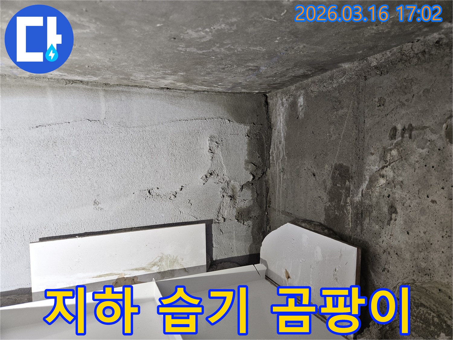 지하-공간의-벽면에-발생한-누수로-인한-습기와-곰팡이-문제를-보여줍니다