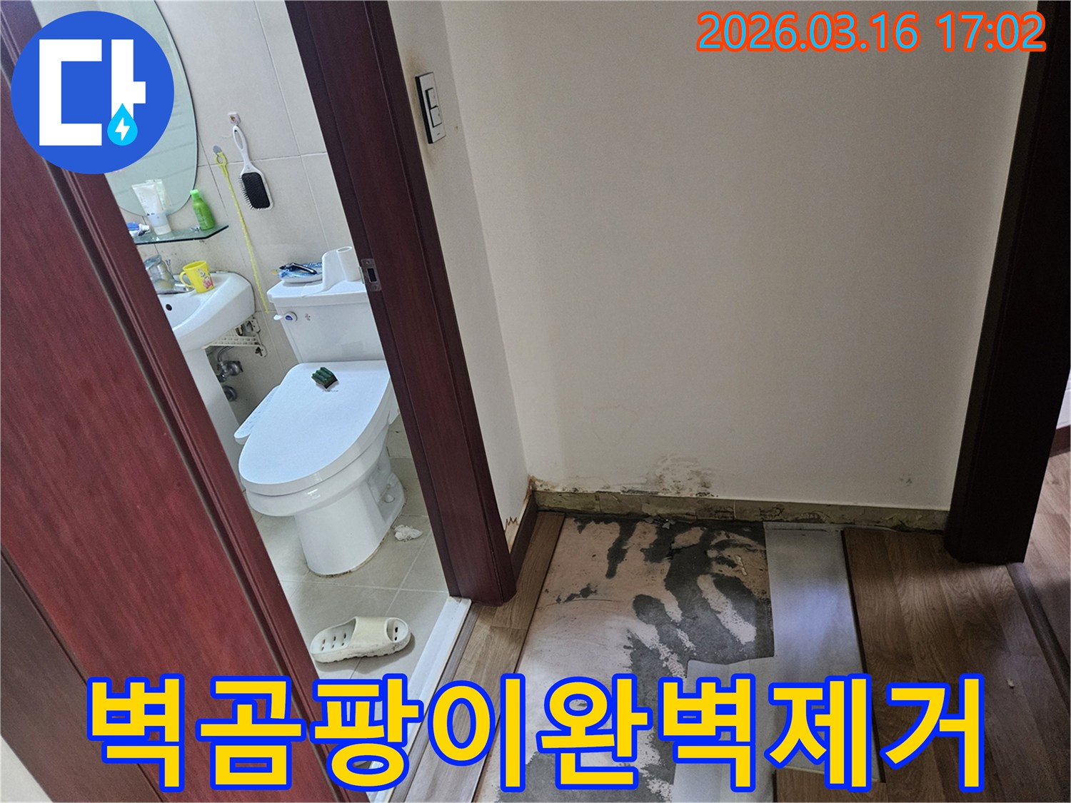 화성 병점구 아파트-화장실 누수로-인해-벽면 하단부에-곰팡이가 피고-바닥재가 손상된-현장 점검 사진