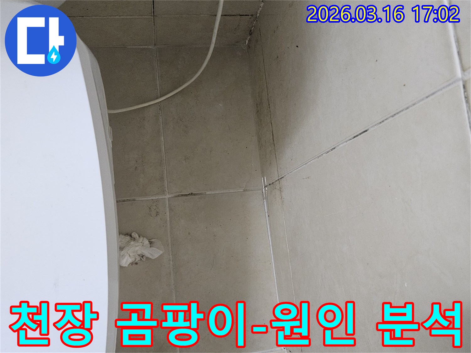 화장실 천장과 벽면 타일에 검은 곰팡이가 넓게 퍼져있으며-이는 누수로 인한 습기 축적의 명확한 증거입니다
