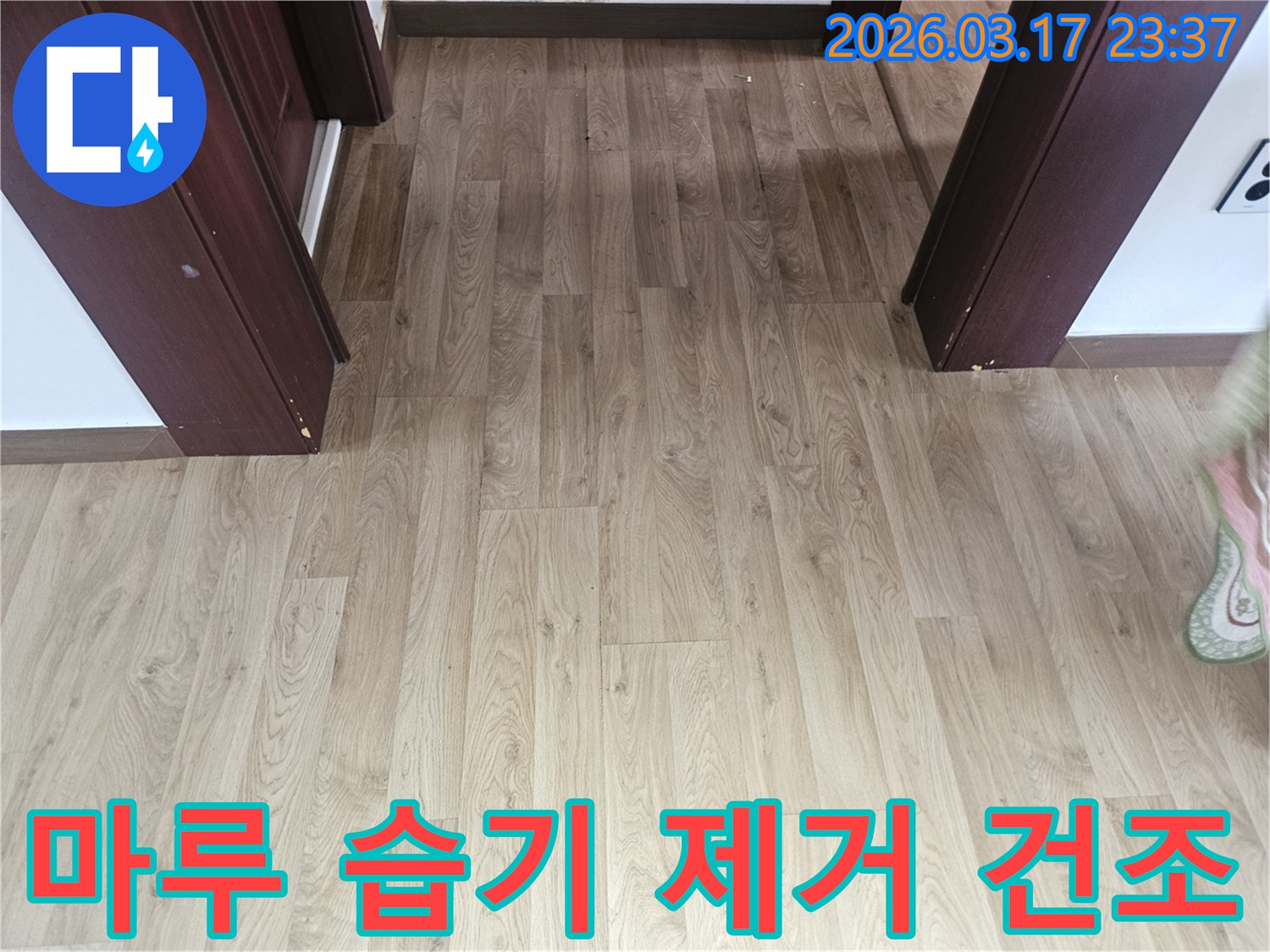 누수 공사 후-바닥 마루의 습기를 완벽하게 제거하고-재시공을 위한-건조 상태를 확인하는 사진입니다.