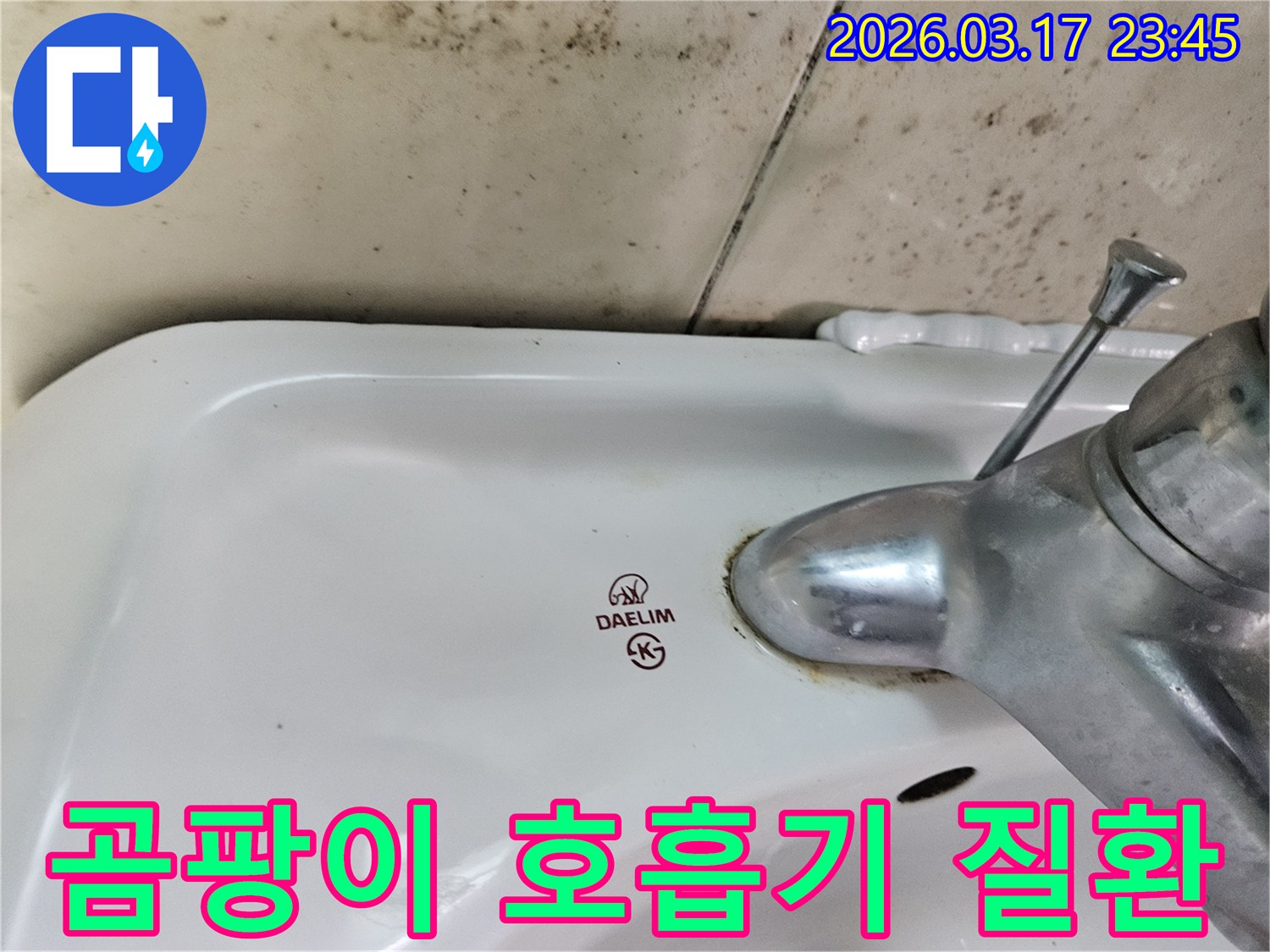 대림 세면대 수도꼭지 주변의 물때와-벽면에 번진 검은 곰팡이가-곰팡이로 인한 호흡기 질환 예방과 건강한 욕실 만들기가 필요한 현장을 보여줍니다.
