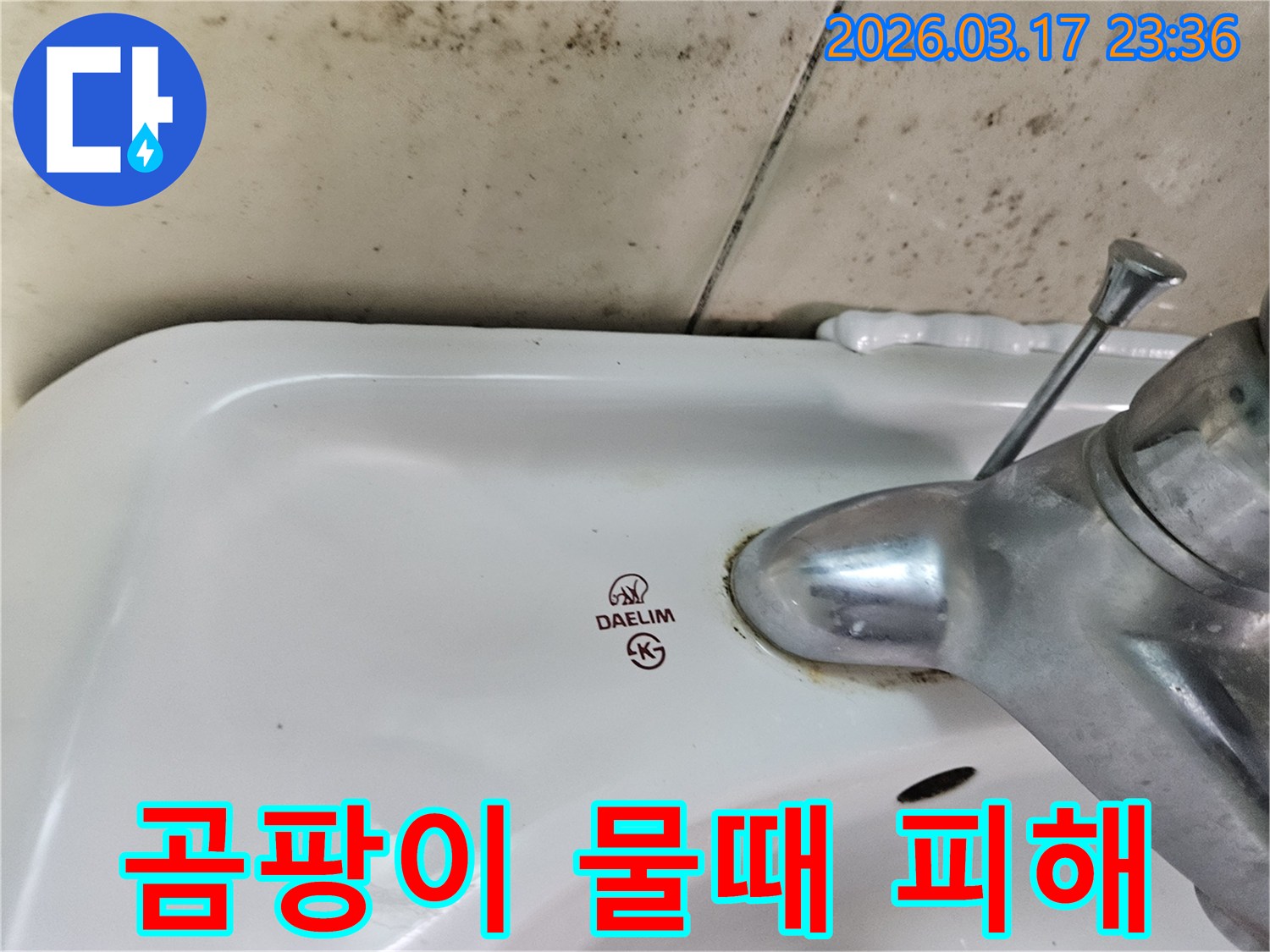 대림 세면대 주변 벽에- 번식한 곰팡이와- 수도꼭지 하단에- 찌든 물때가- 누수로 인한 피해를 보여줍니다
