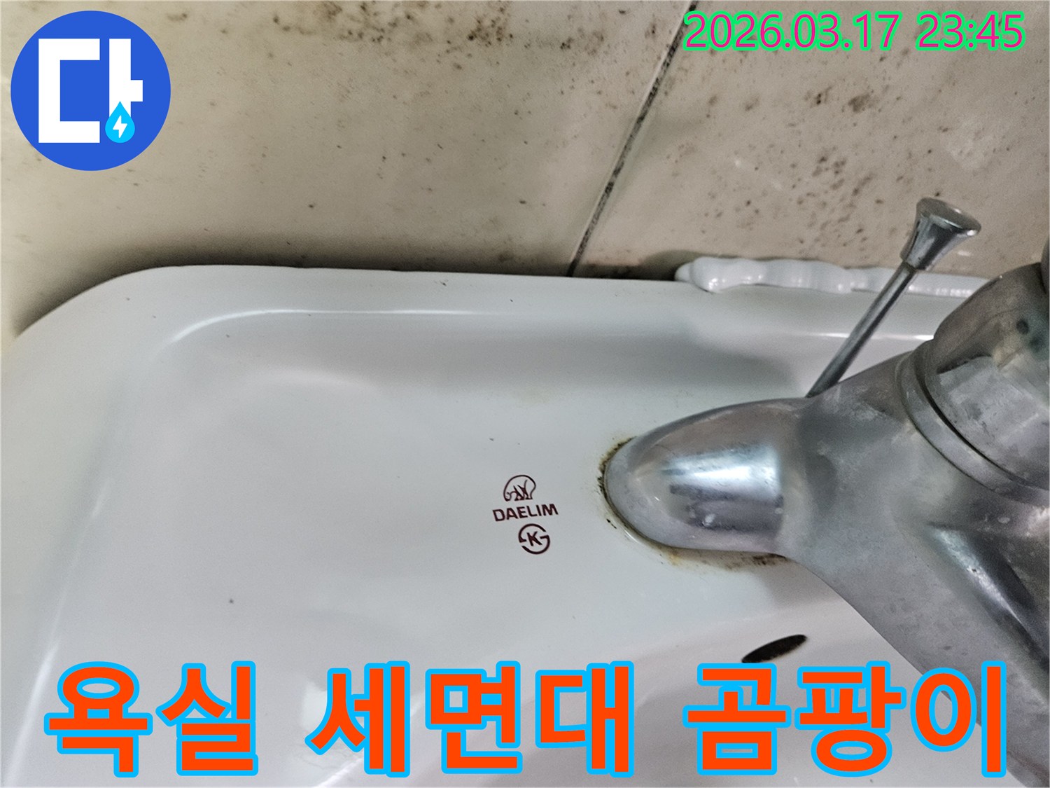 대림 세면대와 수도꼭지 주변에 발생한 광범위한 곰팡이와-수도꼭지 밑의 물때 흔적을 상세히 보여주는 이미지입니다.