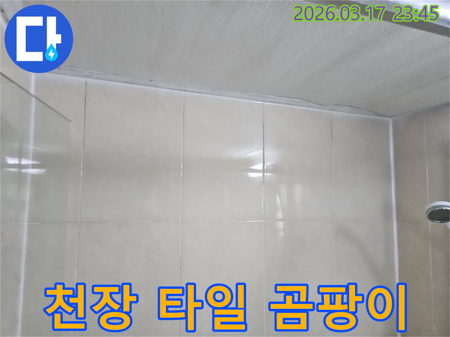 베란다-누수-현장에서-천장과-타일-벽면의-경계에-발생한-곰팡이를-확인하고-제거-작업을-준비하는-모습입니다