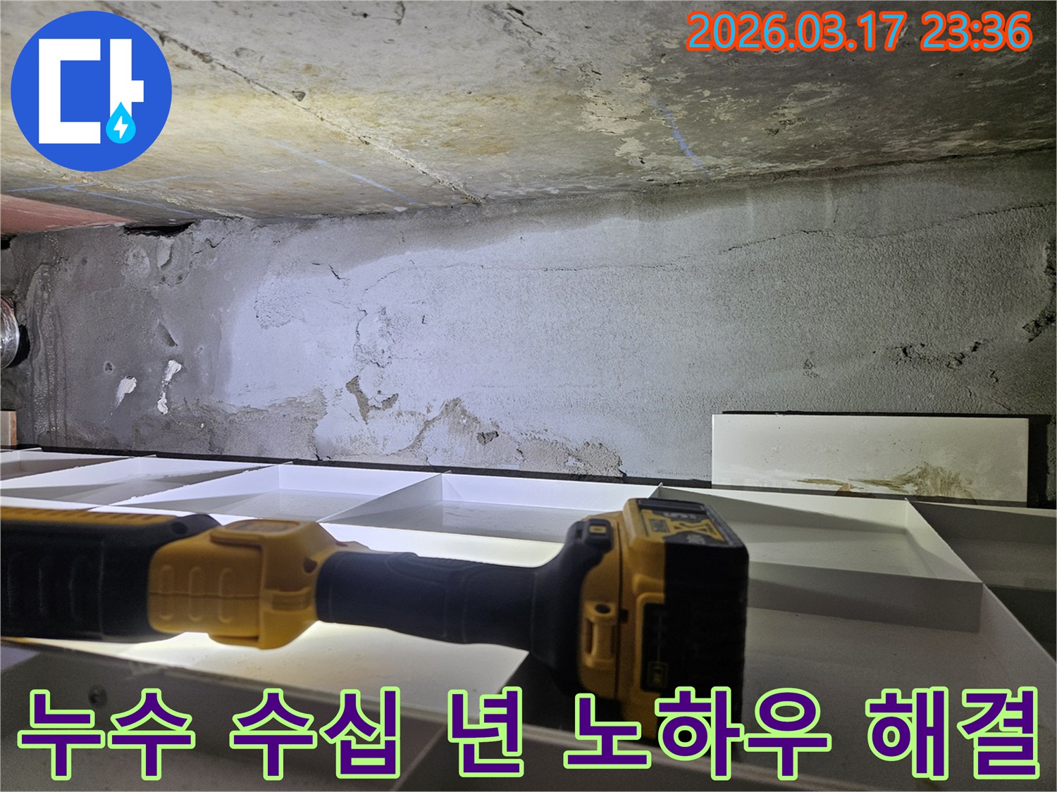수십 년의 노하우를 가진-누수 전문 엔지니어가-천장 누수 현장에서-정확한 진단을 진행하고 있습니다.