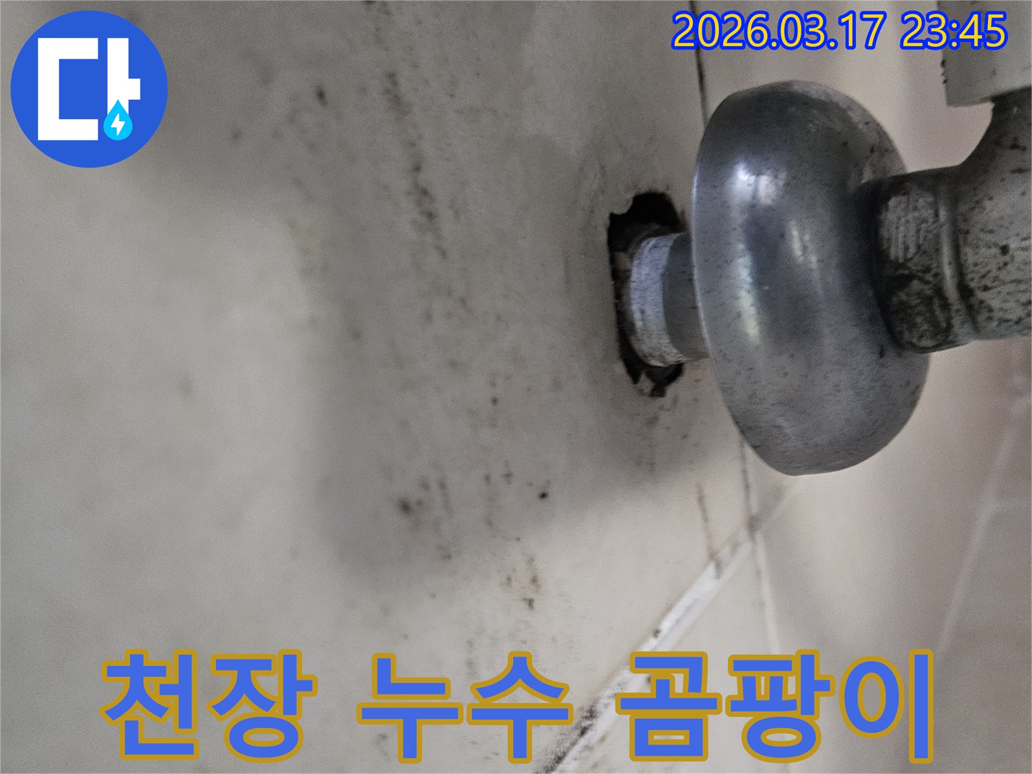 오랜 시간 지속된 누수로 인해-천장 마감재가 손상되고 곰팡이가 번식했습니다