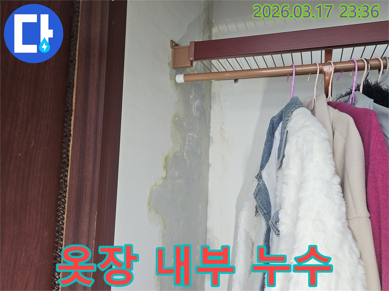 옷장 내부 벽면과 바닥에-물이 스며들어-얼룩지고 젖은-누수 현장입니다.
