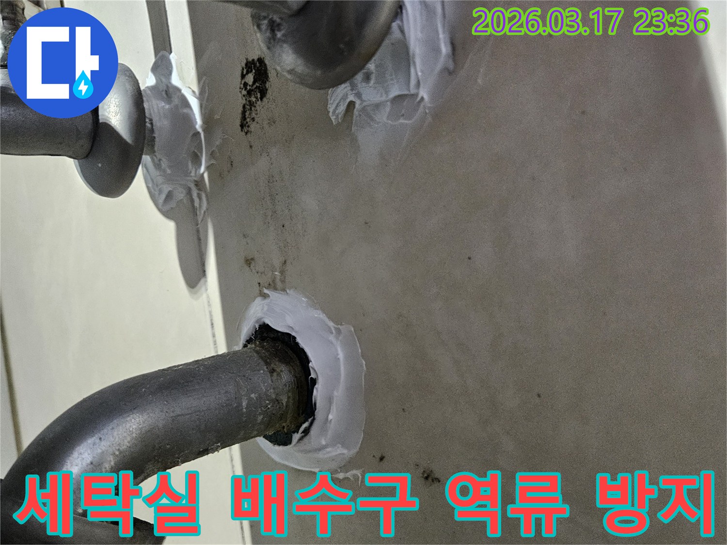 이 이미지는 병점동 주택 세탁실 바닥 배수구의 역류로 인한 누수를-사전에 방지하기 위해 특수 방수 실란트로 꼼꼼하게 밀봉하는 과정을 보여줍니다-견고하고 위생적인 보수입니다.