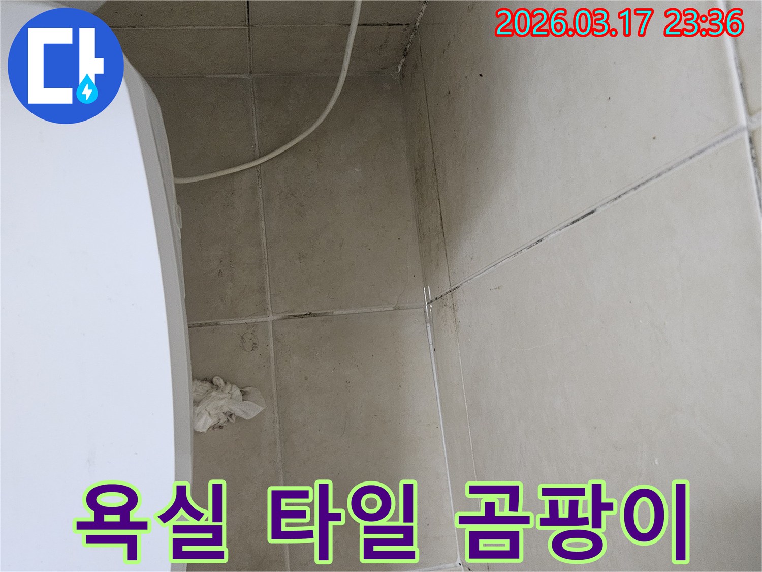 이 이미지는-욕실-천장과-벽면-타일의-모서리-부분에-발생한-심각한-곰팡이와-오염을-보여주며-이는-욕실-누수-가능성을-강하게-시사합니다