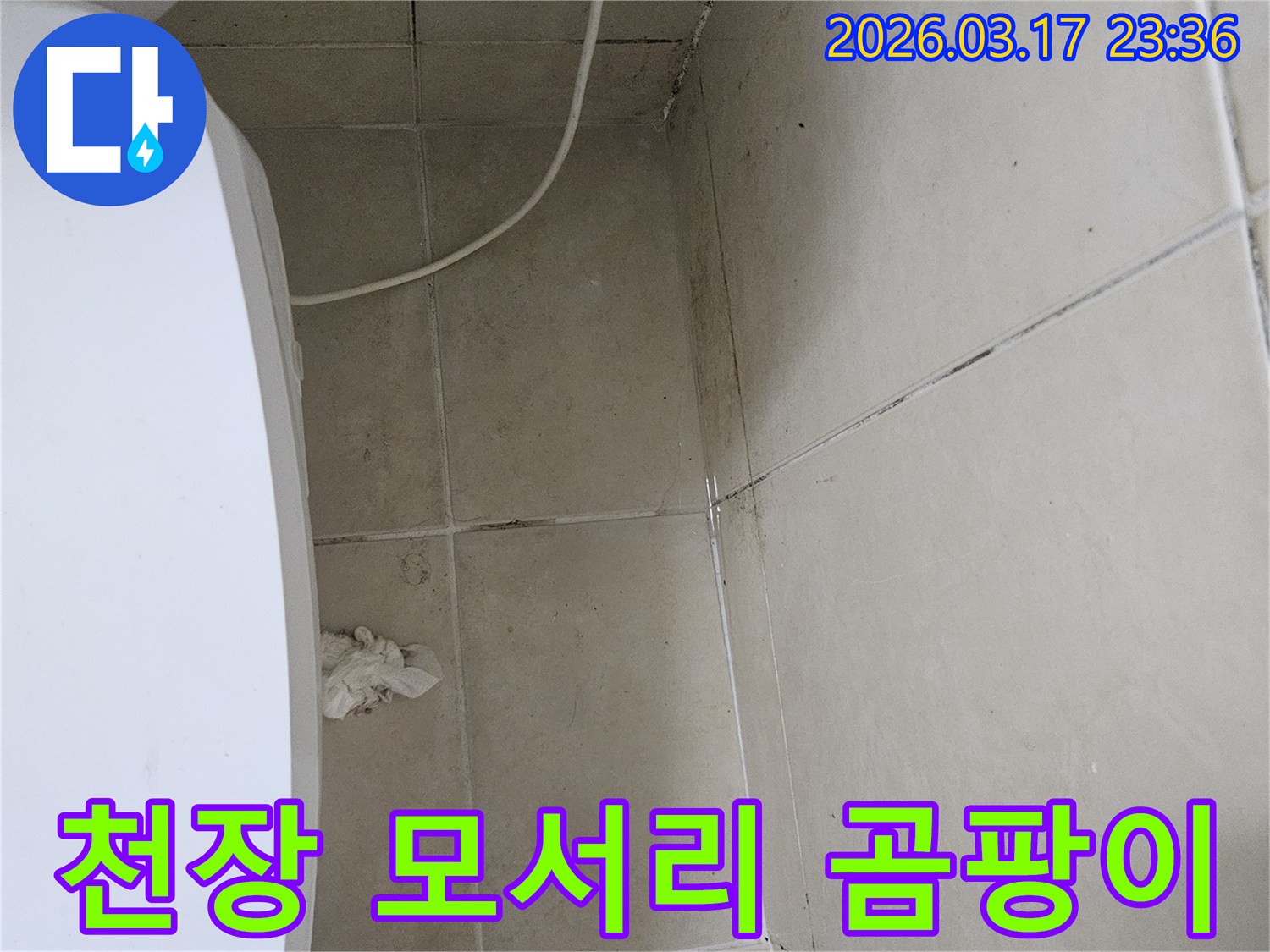 이 이미지는-천장-모서리-부분에-집중적으로-발생한-검은-곰팡이와-오염을-보여주며-이는-누수로-인한-지속적인-습기-침투가-원인임을-시사합니다