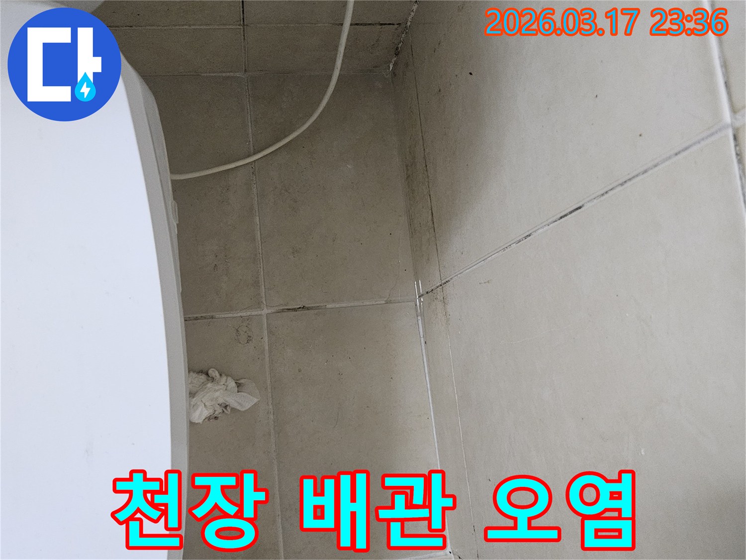 이 이미지는-천장-타일과-벽면-모서리에-나타난-검은-오염과-곰팡이를-보여주며-이는-배관-누수로-인한-지속적인-물샘-현상을-의미합니다