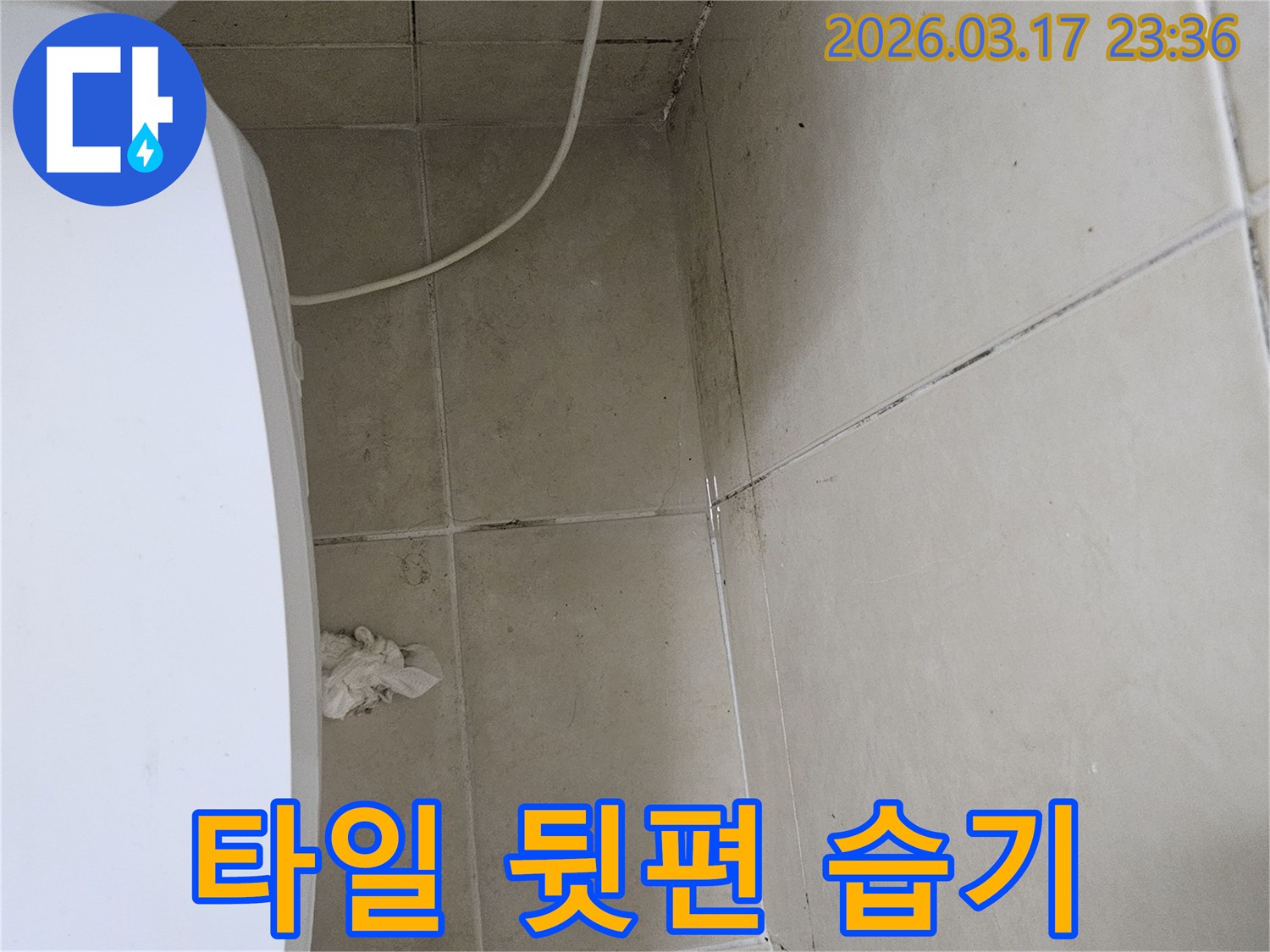 이-이미지는-천장과-벽면-타일의-틈새와-모서리에-발생한-곰팡이를-보여주며-이는-타일-뒷편의-지속적인-습기-침투를-의미합니다
