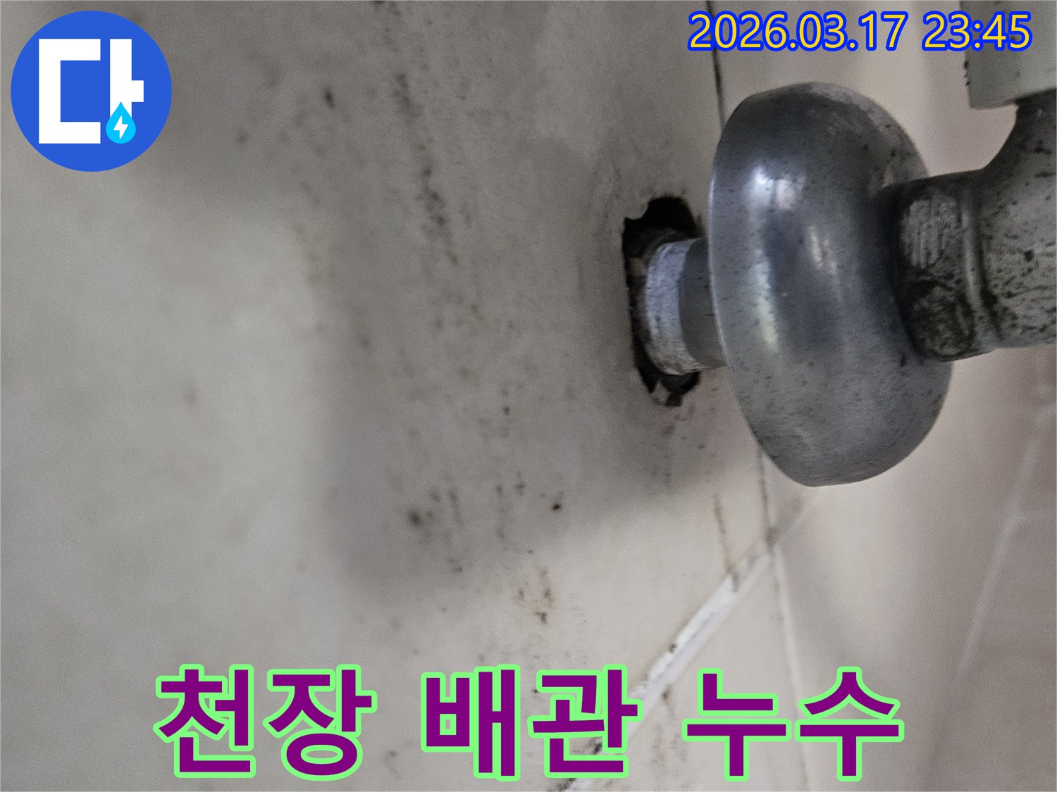 천장 배관 연결부에서 물이 새어-곰팡이와 물때가 심하게 발생한 모습입니다