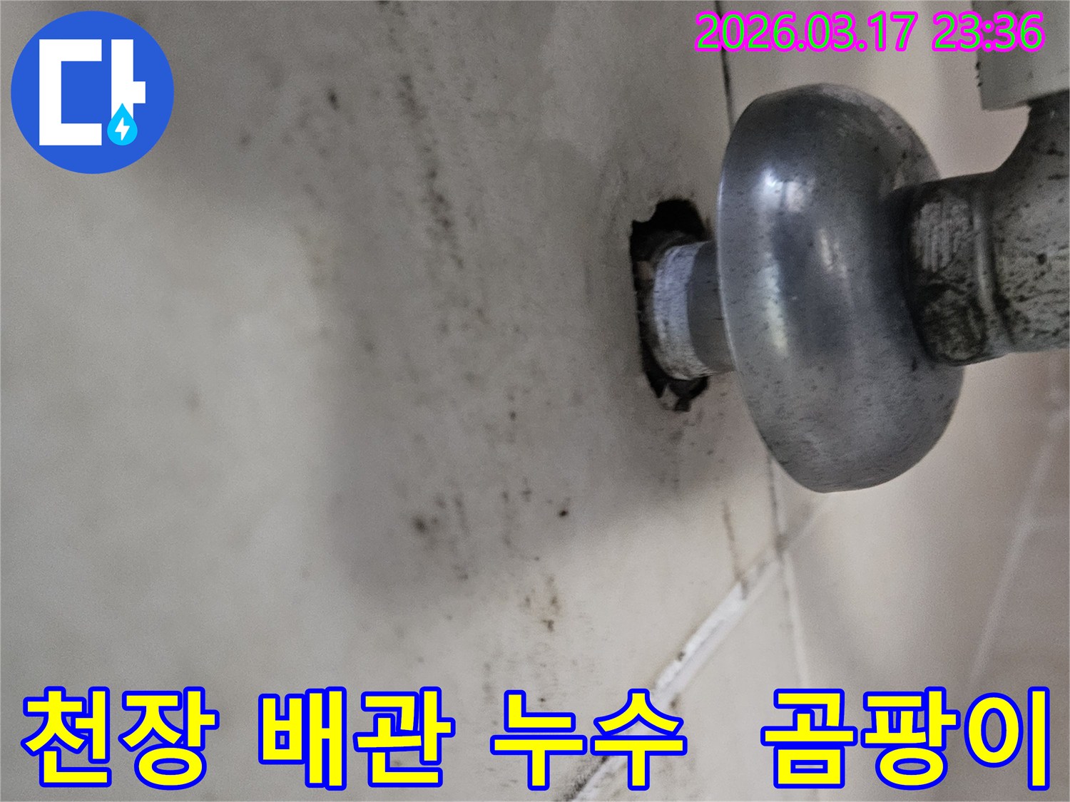 천장-배관에서-발생한-누수로-인해-심각한-곰팡이-오염과-벽면-손상-모습