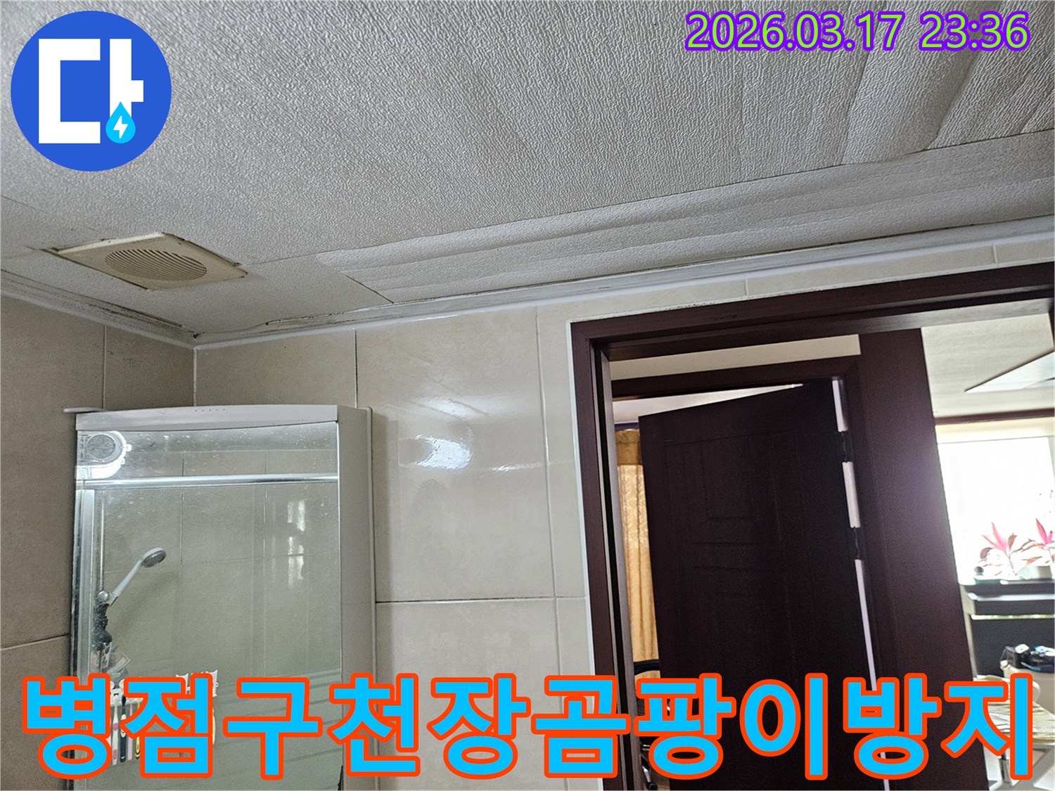 화성 병점구 아파트의 욕실 천장에서-누수로 인해 마감재가 젖고-곰팡이가 발생한 현장을-누수 엔지니어가 곰팡이 제거 및 방지를 위해-점검하는 모습입니다