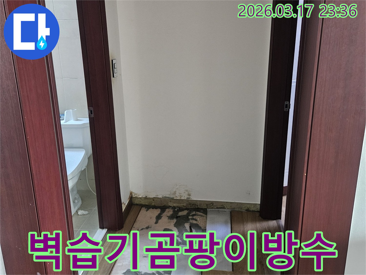 화성시 누수 현장에서-욕실 벽면 습기와 곰팡이의 근본 원인을 제거하고-방수층을 재시공하기 위해-벽을 개방한 모습입니다.