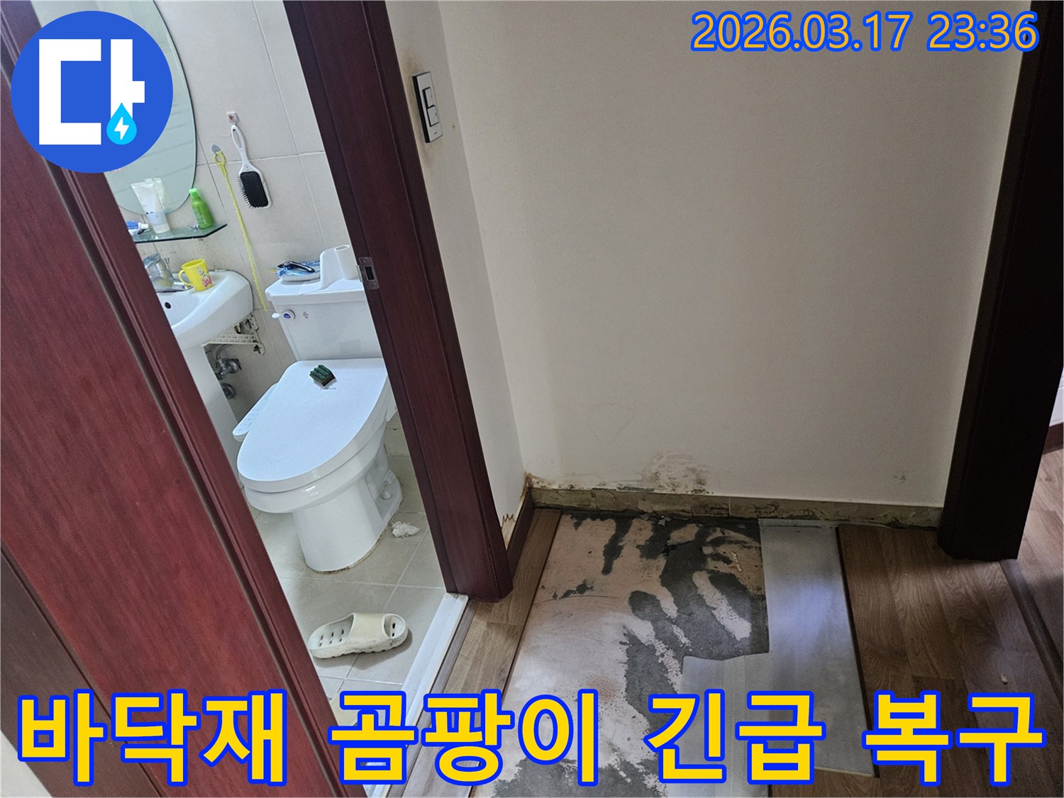 화장실 입구 벽면 하단에-누수로 인한-심각한 곰팡이가 발생하여-바닥재가 제거된-현장 사진입니다