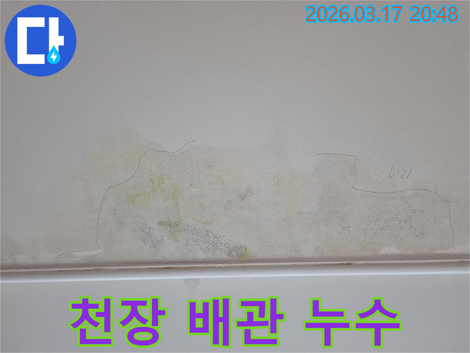 누수 문제로 천장이 손상된 모습-물얼룩과 곰팡이가 번져있어-전문가의 도움이 필요합니다