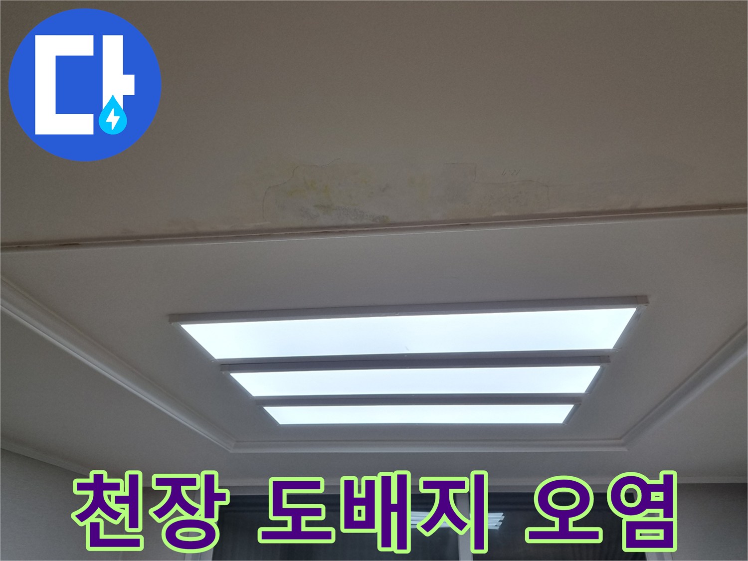 분당 아파트 거실 천장 조명 주변의 누수 변색 부위 사진