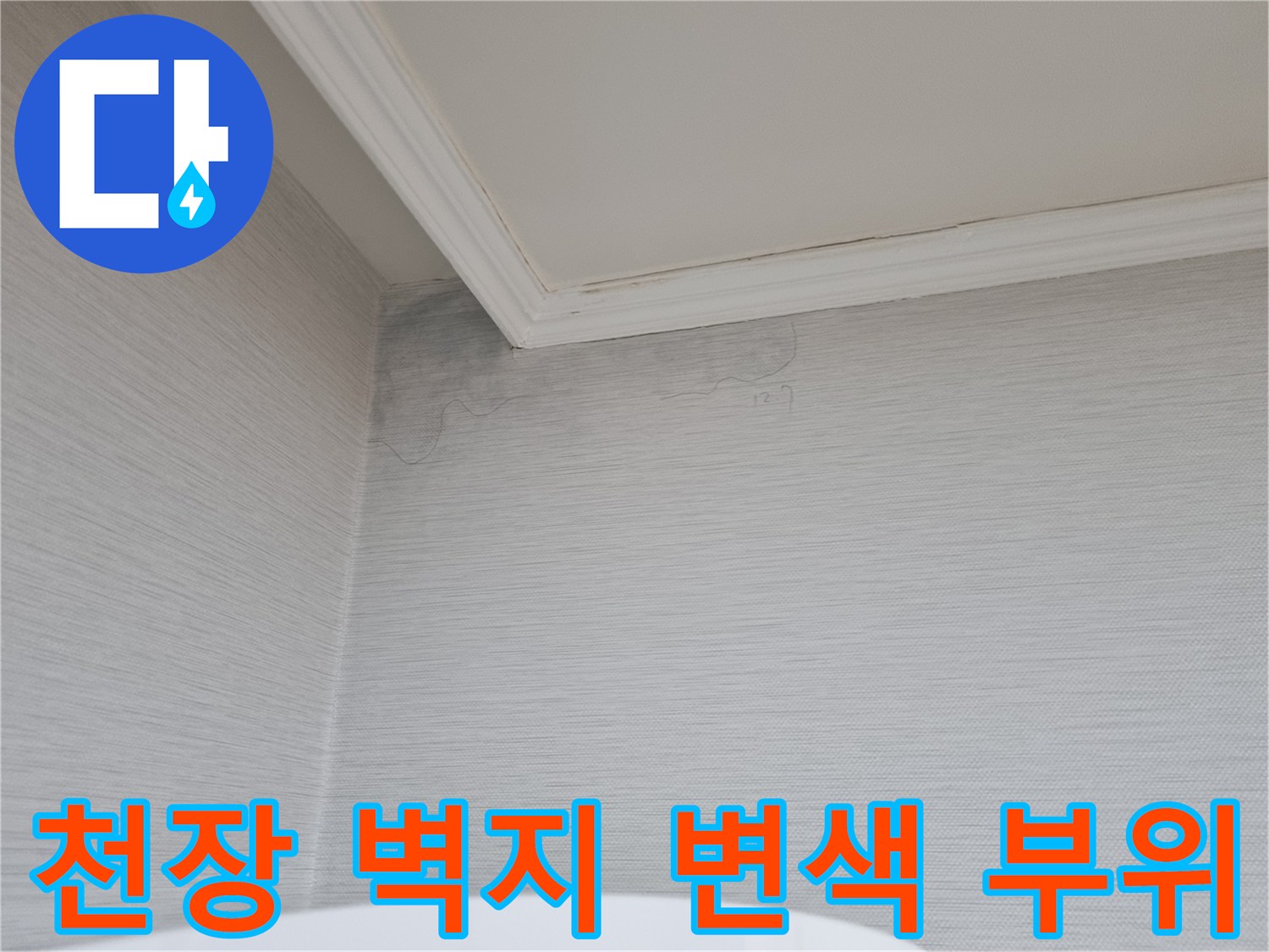 분당 정자동 아파트-천장 모서리 벽지 변색 상태
