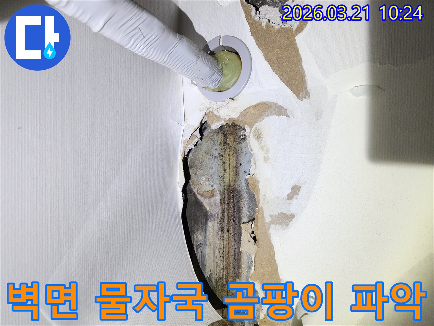 누수로-인해-벽지가-손상되고-물자국과-곰팡이가-피어있는-벽면에-누수-탐지-장비가-삽입된-모습