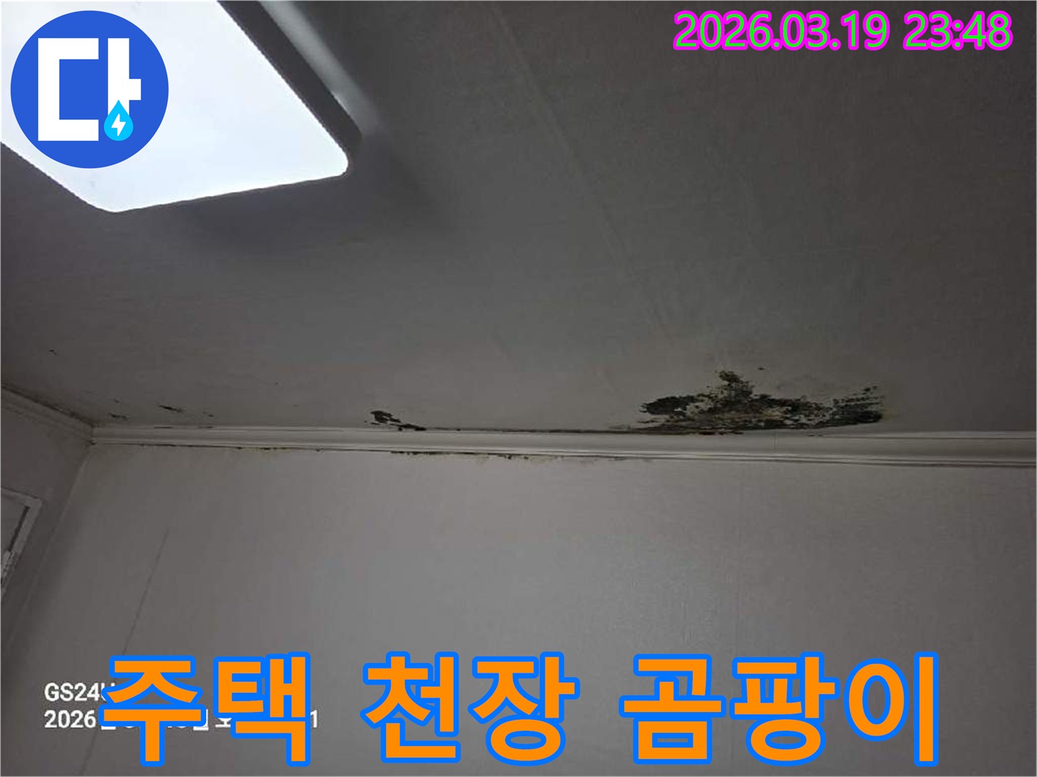 천장-모서리-부분에-누수로-인해-물얼룩과-곰팡이가-발생한-심각한-현장-사진