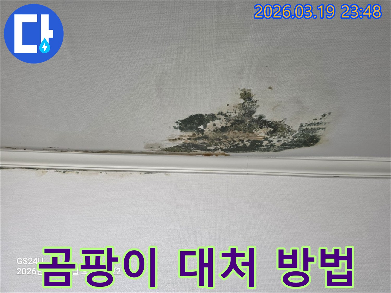 천장-벽지에-발생한-누수-곰팡이-오염-현장으로-신속한-대처가-필요한-상태