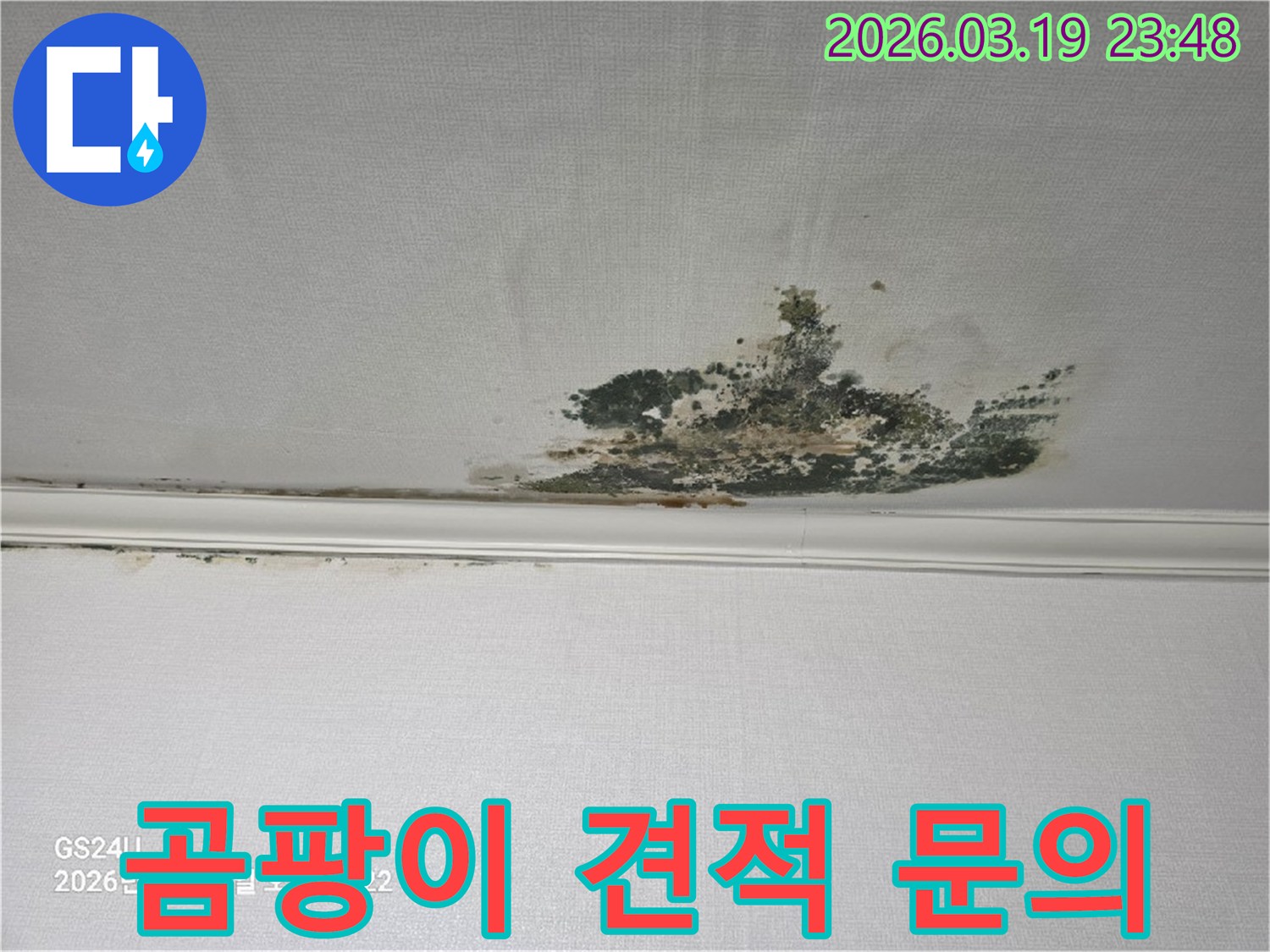 천장-벽지에-발생한-심각한-누수-곰팡이-오염-현장으로-견적-문의가-필요한-상태