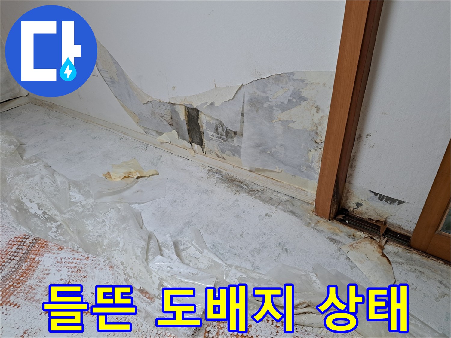 벽면의 습기와 곰<0xAE>팡이로 인해 벗겨진 벽지