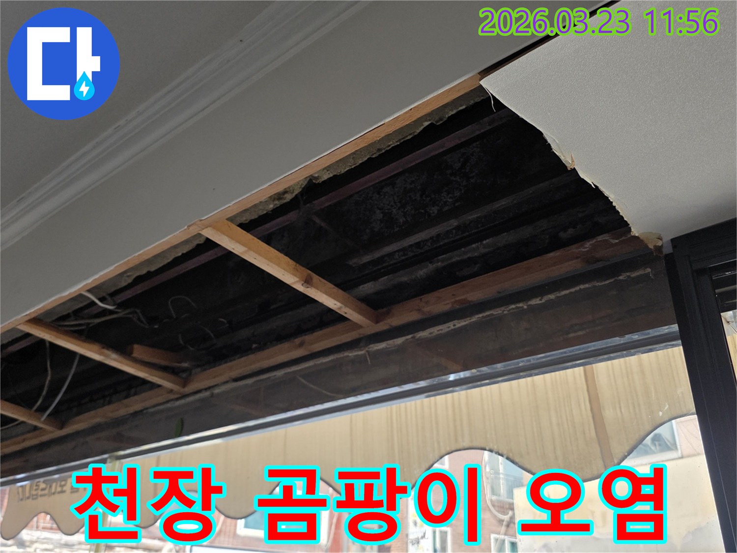 누수로 인해-천장 내부 목재와 마감재에-곰팡이와 오염이 발생한 현장입니다