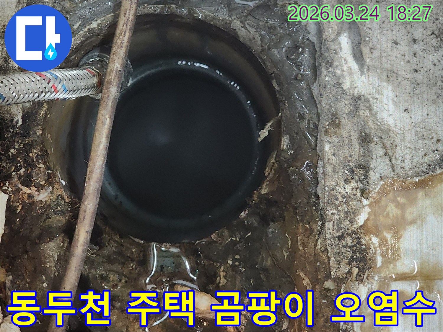 주택-내부에서-발견된-곰팡이와-악취를-유발할-수-있는-오염된-누수-현장을-보여주는-사진입니다