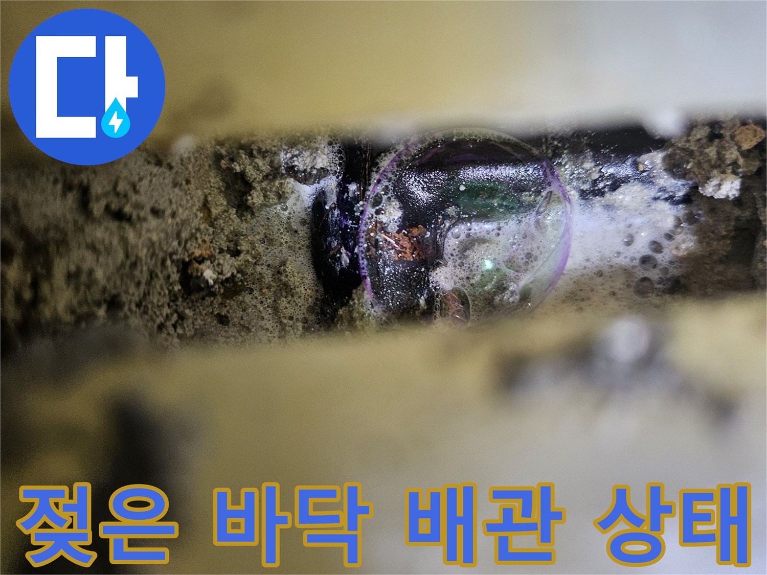 싱크대 하부 - 젖어있는 배관 주변 토양 상태