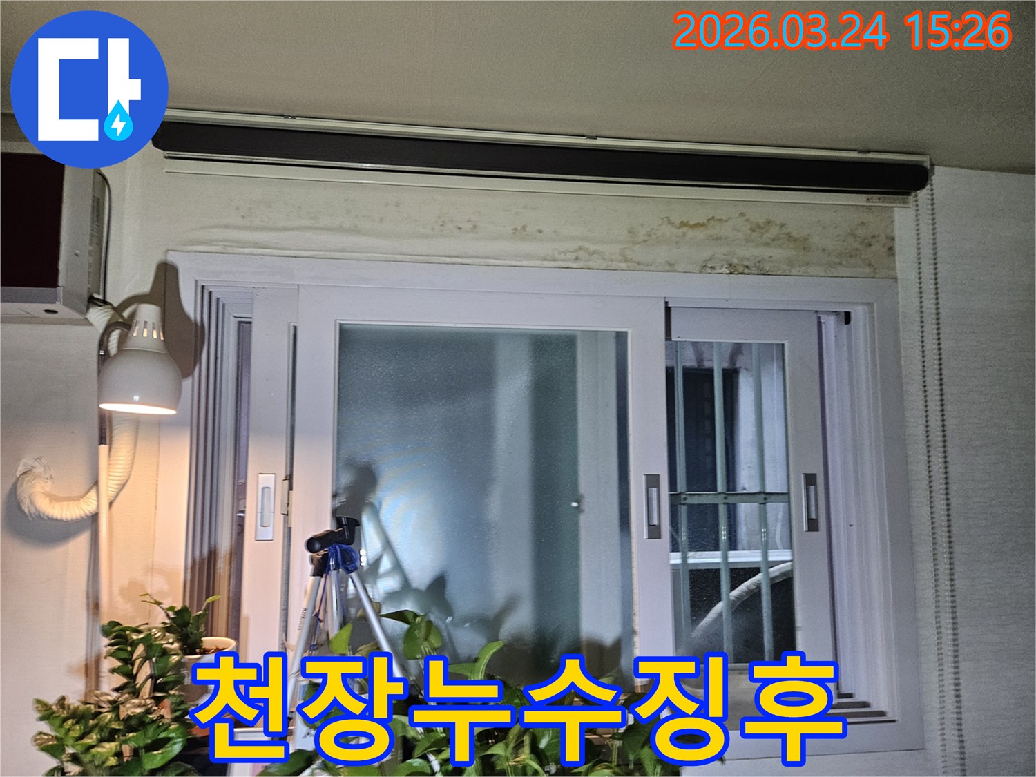 주택-내부-창문-위쪽-벽면에-습기로-인해-생성된-곰팡이-오염-모습