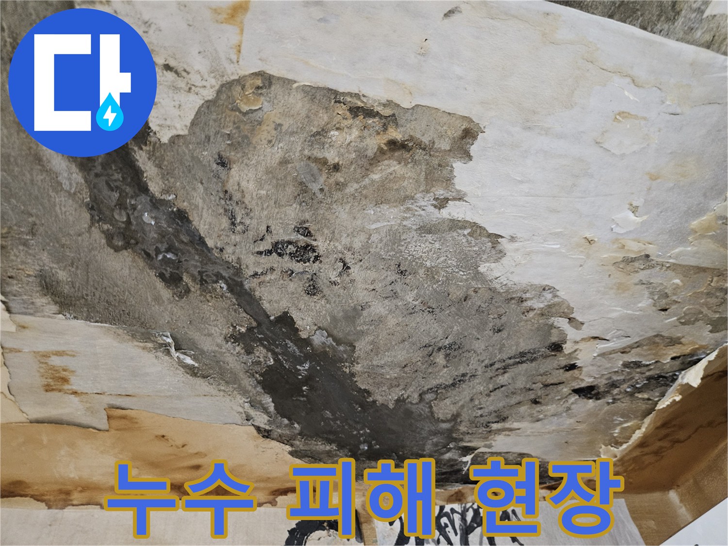천장 벽면의-심한 물번짐과 곰팡이 오염 상태