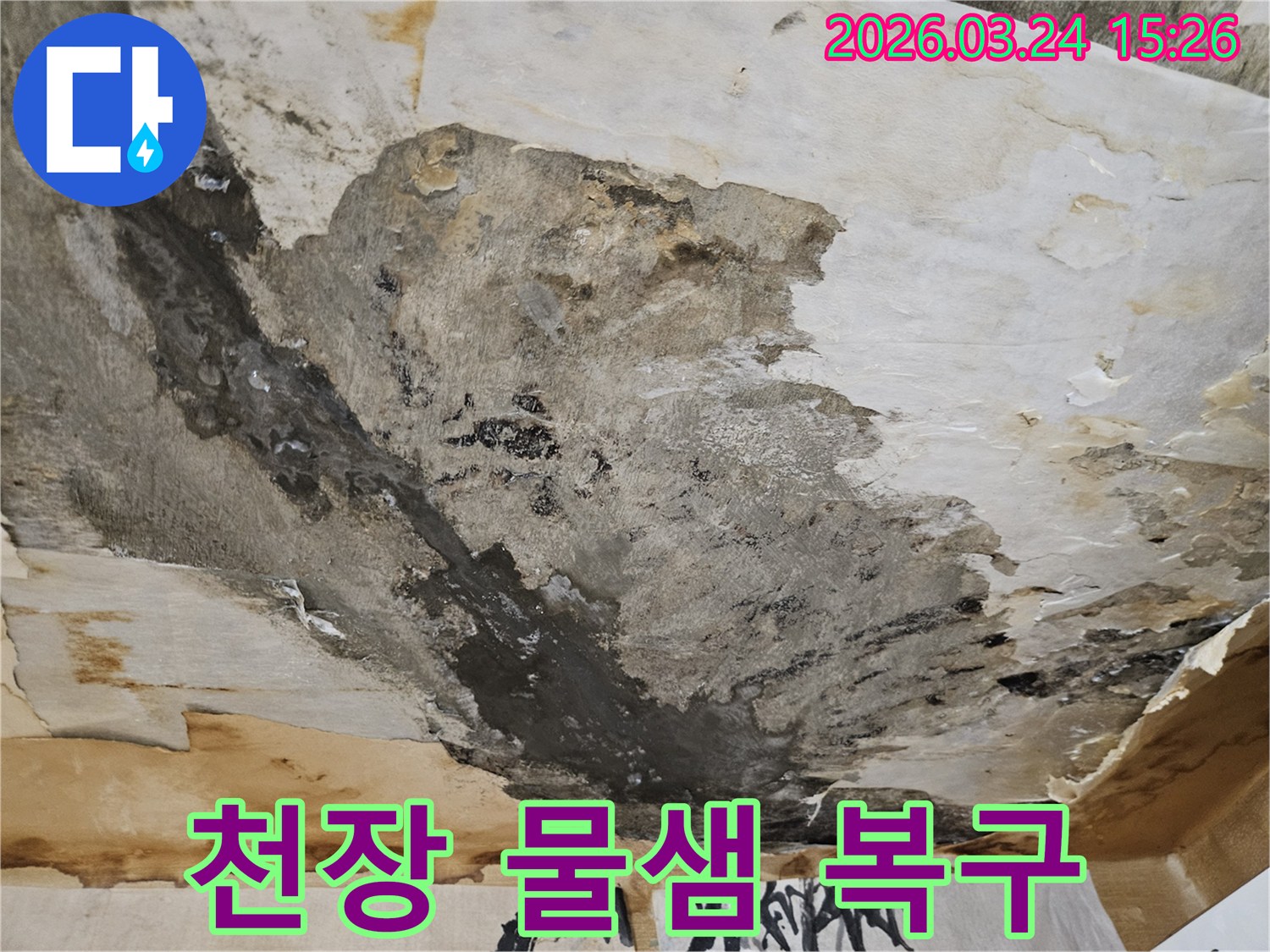 천장에서-물이-새어-벽지가-손상되고-얼룩진-상태로-누수-복구가-필요한-현장입니다