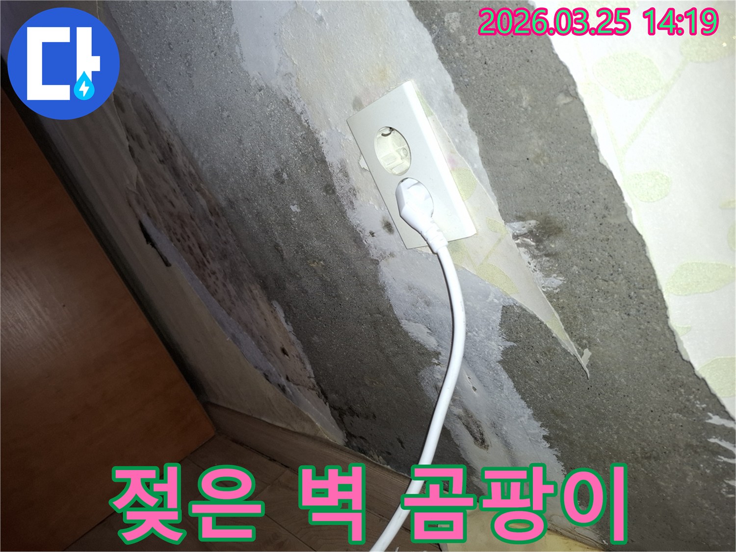 벽지가-젖어-떨어지고-콘크리트-벽에-곰팡이가-생긴-주택-누수-피해-모습