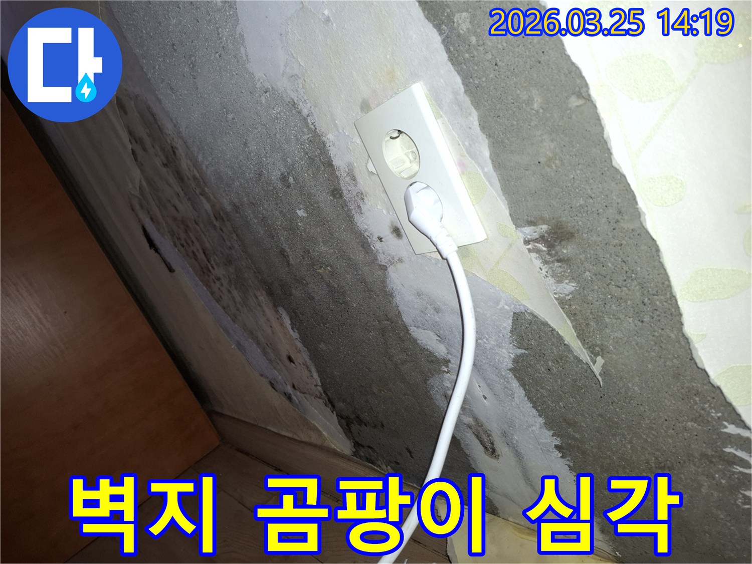 전기-콘센트-옆으로-물이-새어-벽이-손상되고-곰팡이가-피어난-심각한-누수-상황