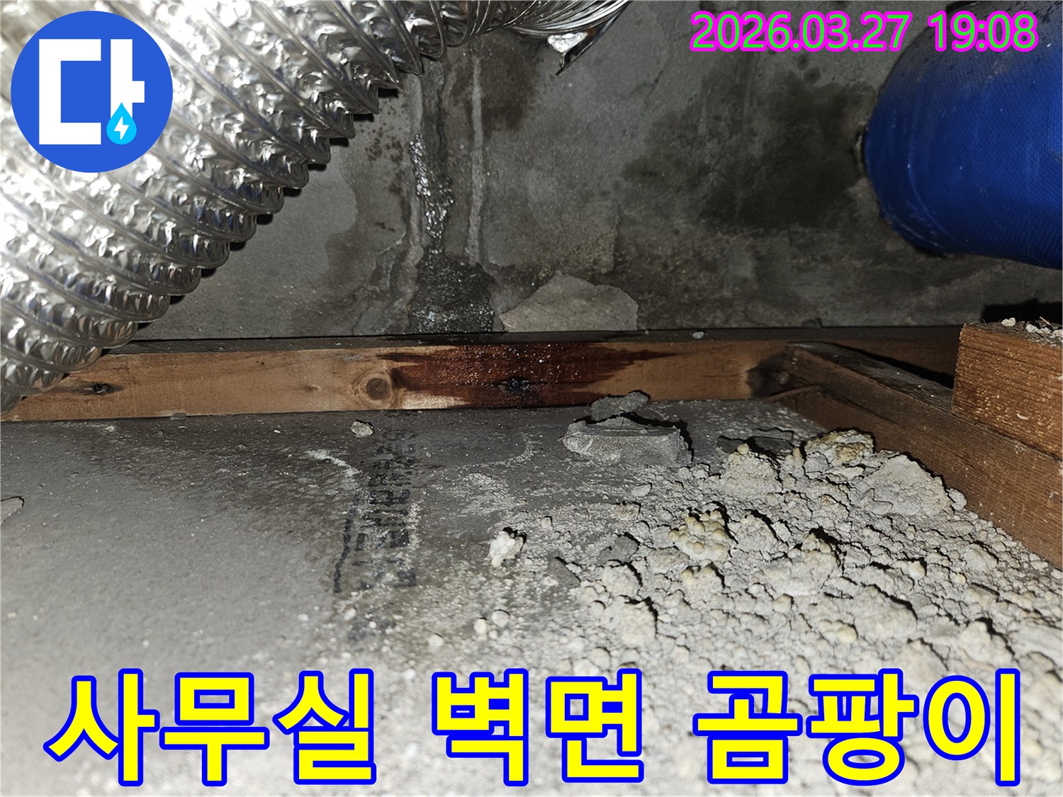 사무실-내부-벽면-하단부에서-발견된-누수-흔적과-물에-젖어-변색된-목재-구조물-곰팡이-발생-우려