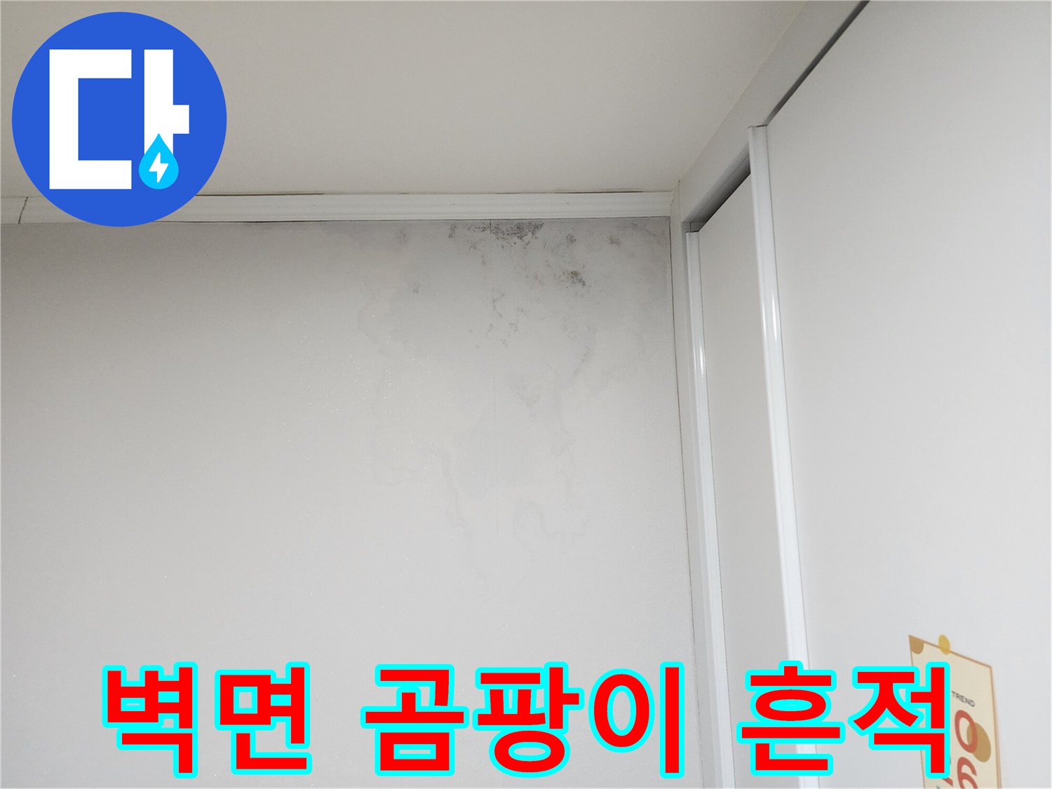 도봉구 현장-벽지 상단에 발생한 곰팡이와 습기 흔적