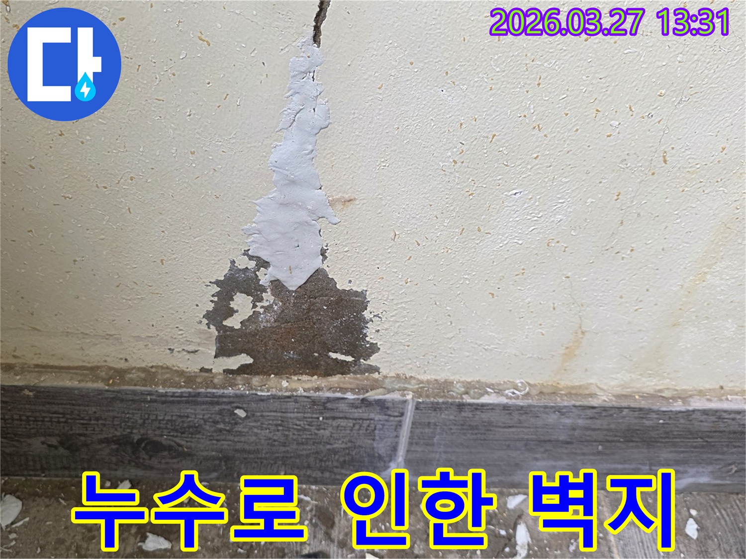 물에 젖어 벗겨진 벽지와 곰팡이가 생긴 벽면을 나타내는 사진